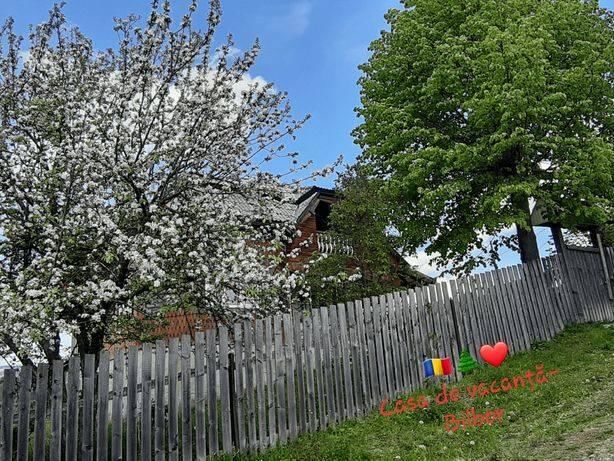 Дома для отпуска Cabana la munte Bilbor Rocoteaş