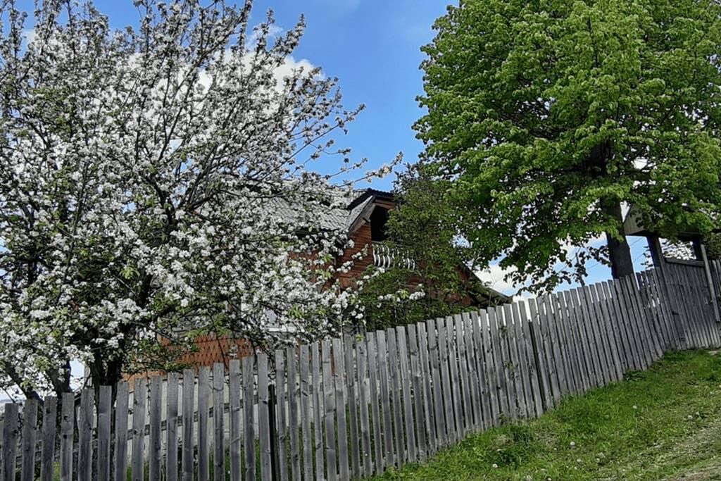 Дома для отпуска Cabana la munte Bilbor Rocoteaş-29