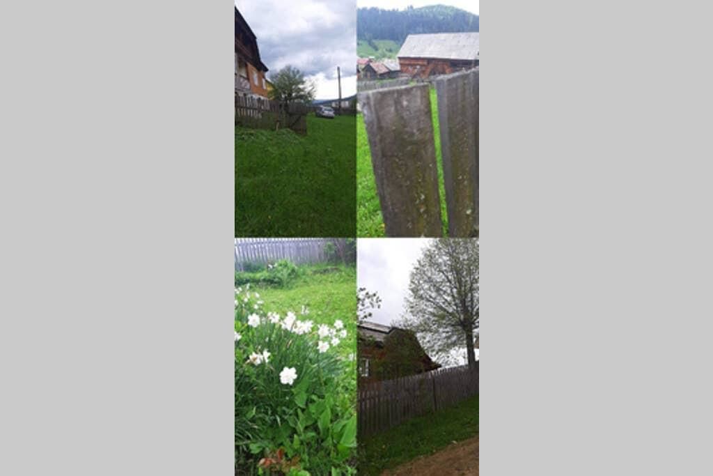 Дома для отпуска Cabana la munte Bilbor Rocoteaş-11