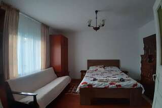 Дома для отпуска Cabana la munte Bilbor Rocoteaş Дом с 3 спальнями-2