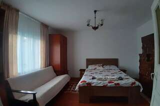 Дома для отпуска Cabana la munte Bilbor Rocoteaş Дом с 3 спальнями-4